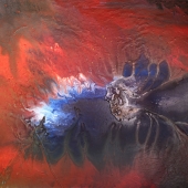 Vinoda Revannasiddaiah – “Preying Bird” – vinodaart@gmail.com