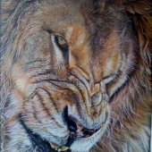 Silke Schepp - “Lion King” – silkeschepp82@gmail.com