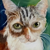 Niki Esser - “Drea's Natasha” – fromchaosbyniki@yahoo.com