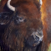 Jan Lowe - “The Bison, former King of the Plains” – http://www.janlowefineart.com/