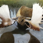 Jean Yves Crispo - “Alaskan Giant” – http://www.jean-yves-crispo.artistwebsites.com/