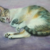 Lin, YU-wei - “Cat Dreaming” – yuweiann@gmail.com