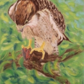 Bridget Henning - “Lady Falcon with Food” – http://www.arthenning.com/