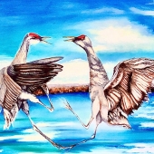 Andrew Hollimon - “Sandhill Cranes Ritual” – Abh1171@aol.com
