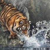 Liqian Zhu - “Playing in the Water” – 66543755@qq.com