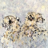 Jan Raats - “Emerging” – http://www.janraats.com/