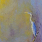 Capt. B Smith - “Winged Messenger” – http://www.captbsmith.com/