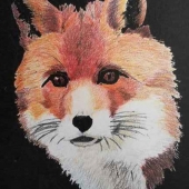 Michael Putorti - “The Tod” – michaelputorti@gmail.com