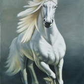 Chao Yang - “White Horse” – yc2860709@163.com