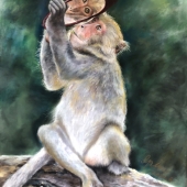 Ipin Liu - “Are you looking at me?” – ipin0919@yahoo.com.tw