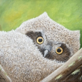 Sandy Moser - “I see you” – http://sandymoserart.ca/