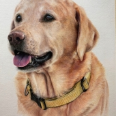 Bonny Snowdon - “Casper” – http://www.bonnysnowdonfineart.co.uk/