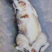 Anita Gladstone - “Ready to Move” – http://www.anitagladstone.com/