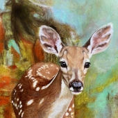 Rachel Hurst - “Meet Me in the Forest” – https://www.rachelhurstfineart.com/