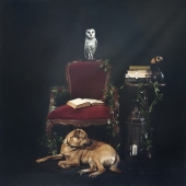 Julie Powell - “The Gathering” – https://www.juliepowellphoto.com/