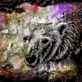 Gareth Jones – “Emerging from the Rockface - The Spirit Bear paused” – http://www.gpjones1.format.com/