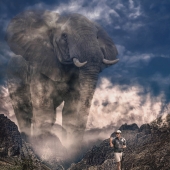 Ilona Abou-Zolof - “Elephant Magic” – http://www.zolof.net/