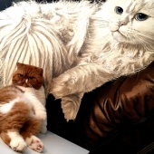 Garret Demarest - “Pose” – http://www.innervigorations.com/