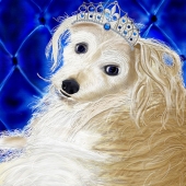 Rene Smoller - “Her Royal Heinie NOODLE of Marina del Rey” – http://rasmollerart.com/