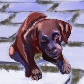 Mara Catherine Sippel - “Bad Dog!” – http://www.maracatherinesippelart.com/