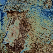 Michael J Duke - “I'll Kill That Barber” – http://www.mjduke.co.uk/