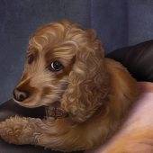 Jorge Van de Perre - “The Great Charmer” – https://j-vandeperre.squarespace.com/