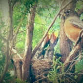 Michelle Mathews - “Begging for a Window of Opportunity” – michellemathews64@gmail.com