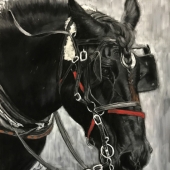 6th Place – Janet Johnson - “Bound, but Not for Glory” – www.jtjohnsonpastels.com