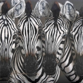 7th Place –  Fiona Groom - “We're all Ears” – www.fmgfionagroomvisualartist.com