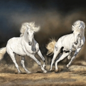 8th Place – Olga Kaydash - “Trusted Companions” – lkaydash@comcast.net