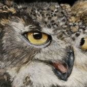 Hon. Mention – George Ann Johnson - “Capturing” – www.gajart.com