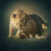 10th Place – Lou Ann Goodrich - “Wash Your Feet” – www.louanngoodrich-photoartist.com