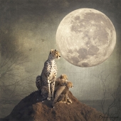 1st Place – Bernice Fargus - “Awakening” – bernicefargus@gmail.com