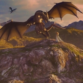 5th Place – Sheri Emerson – “Swoop” – www.sheriemerson.com