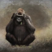 7th Place – Ann Wehner - “You Never Listen” – www.annwehnerdigitalartistry.com