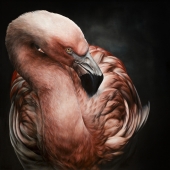 1st-Place-OA-88-POM.-Marion-Tubiana-“Atacama”-b