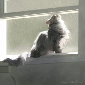 8th-Place-OA-96-PD.-Alyssa-Ostrowski-–-“Silvie”-b