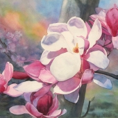 Elizabeth Burin - “Magnolia Spotlight” – http://elizabethburin.com