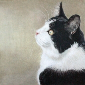 Denise Norman - “Tuxedo Queen” – https://www.instagram.com/denisenormanart