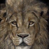 George Ann Johnson - “The Pride's King” – http://www.gajart.com