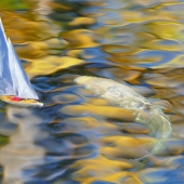 Maureen Ravnik - “Gone Fishin’” – http://www.maureenravnik.crevado.com