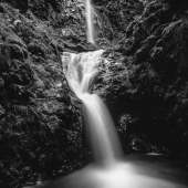 Robert Nowak - “Lupine Falls” – http://www.robertnowakphotography.com