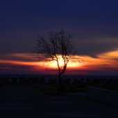 Lazar Sorin Niculae - “Sunrise” – https://www.artmajeur.com/en/lazar-ecofor/presentation