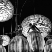 Brandi Foster - “The Dance” – http://www.leauphotography.com