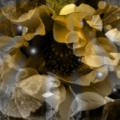 Magdalena Borkowska - “Prodigy” – https://www.magdalenaborkowska.com