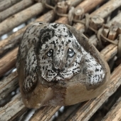 Bonnie Maldonado - “Where's my Mom?” – http://www.instagram.com/bmaldonado51