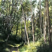 Eric Hotz - “Railway Trail” – http://www.erichotz-portfolio.com/