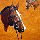 Kristi Richter - “Dressage Horse” – keddywumpus@yahoo.com