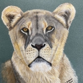 Krista Oremus - “Walk on the Wild Side” – https://kristaoremus.com/