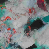 Lolly Owens - “Buddha Walking” – http://www.lollyowens.com/